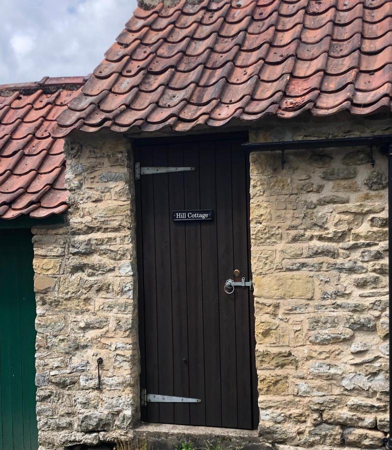 Hill Cottage, Thornton-Le-Dale Thornton Dale Exterior foto